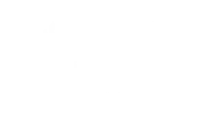Best Director Documentary Feature Film Holidays365 International Film Festival USA 2022