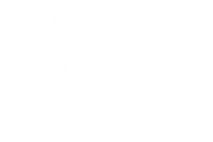 Best Documentary Cinema Worldfest Los Angeles, USA 2022