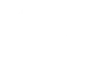 Best Documentary ELOW Film Festival & Market Florida 2021