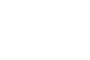 Best International Documentary Feature Film Holidays365 International Film Fest USA 2022