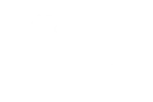 Documentary Feature Stroud Film Festival UK 2022