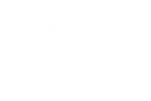 OFFICIAL SELECTION Documentary Feature Lift-Off Online Session UK 2021
