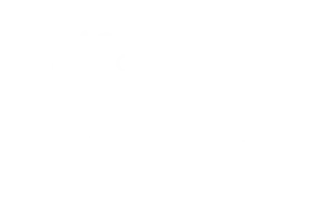 OFFICIAL SELECTION Documentary Feature RENUNC Film Festival Chile 2021