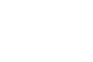 Shooting Star Award Holidays365 International Film Festival USA 2022